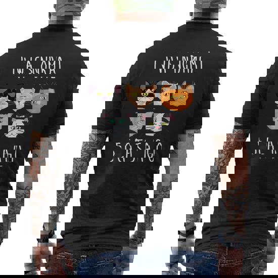 I Was Normal Three Cats Ago Tee Shirt Purrr Funny Crazy I Was Normal Three Cats Ago Tee Shirt Purrr Funny Crazy