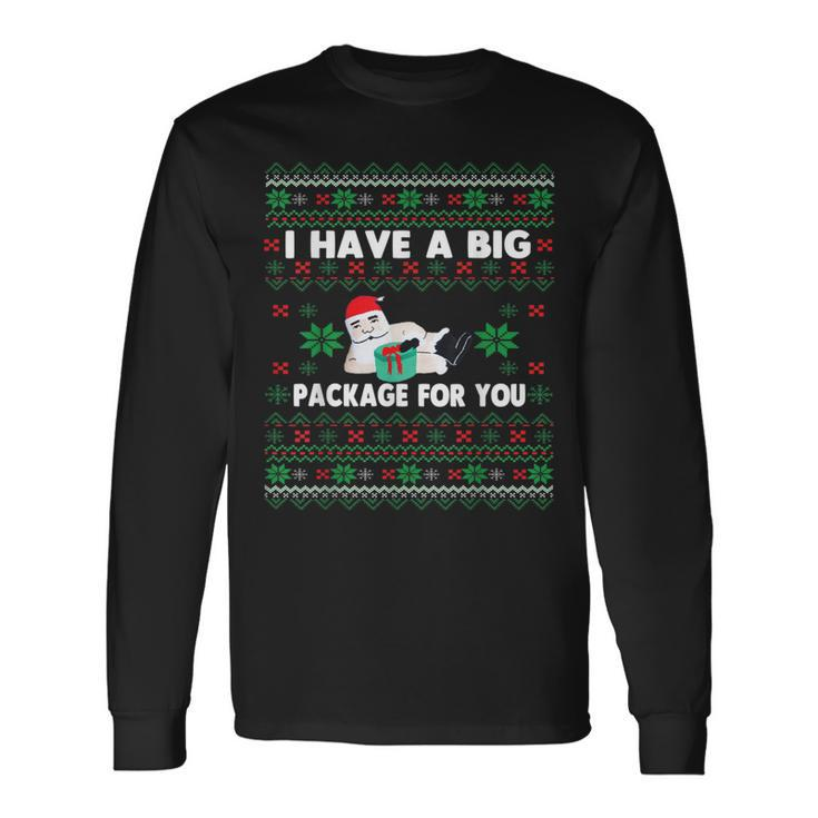 I Have A Big Package For You Christmas Ugly Sweater Long Sleeve T-Shirt