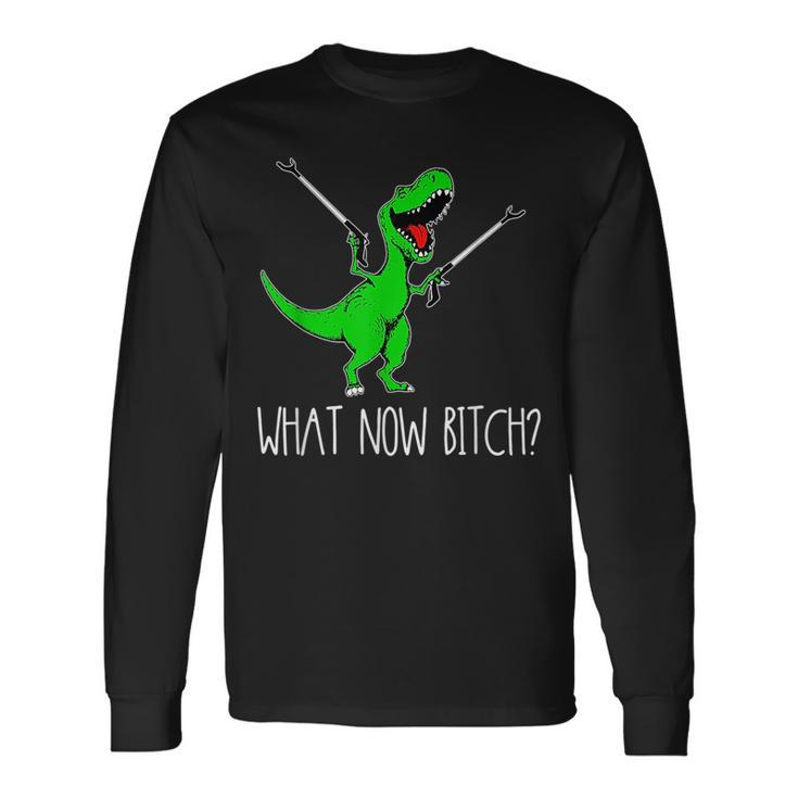 What Now Bitch Rex Dinosaur Long Sleeve T-Shirt