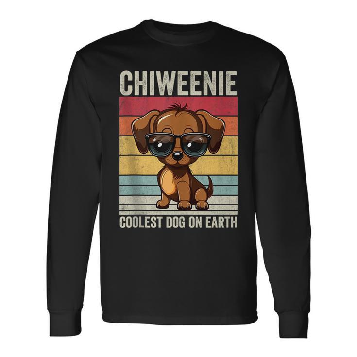 Fashion chiweenie sweater