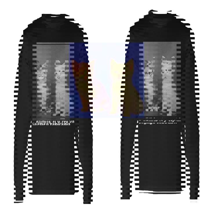 Gaslighting Isnt Real You Crazy BITCH Cat Lover For Cat Lover Long Sleeve T-Shirt T-Shirt