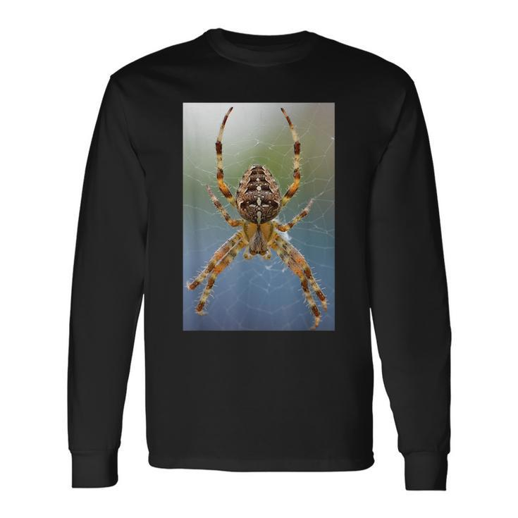 Long-Legged Spider In Webbing Scary Insect Colorful Long Sleeve T-Shirt T-Shirt