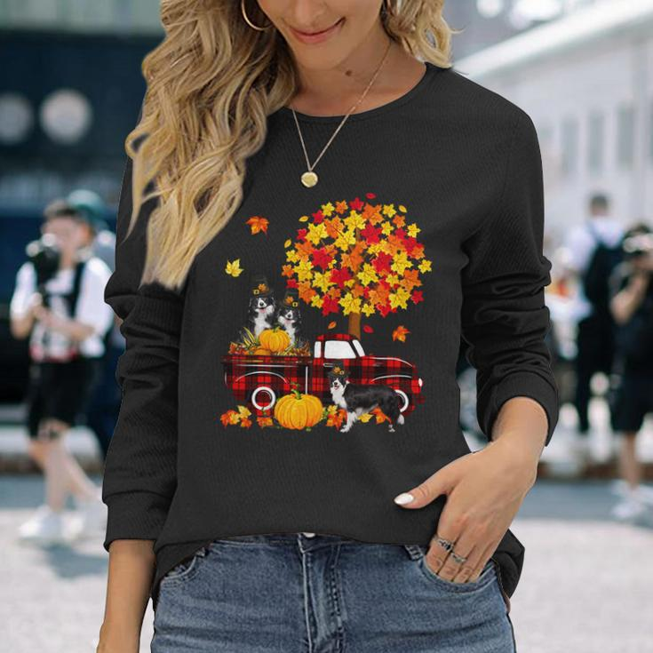 Dog Border Collie Three Border Collies On Pickup Truck Thanksgiving Fall Tree Long Sleeve T-Shirt Gifts for Her