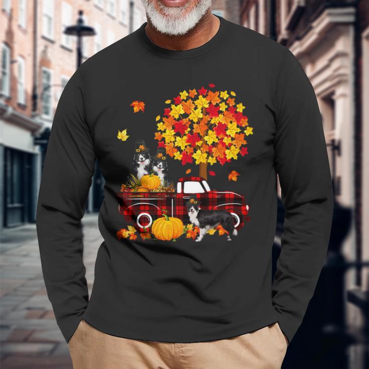 Dog Border Collie Three Border Collies On Pickup Truck Thanksgiving Fall Tree Long Sleeve T-Shirt Gifts for Old Men