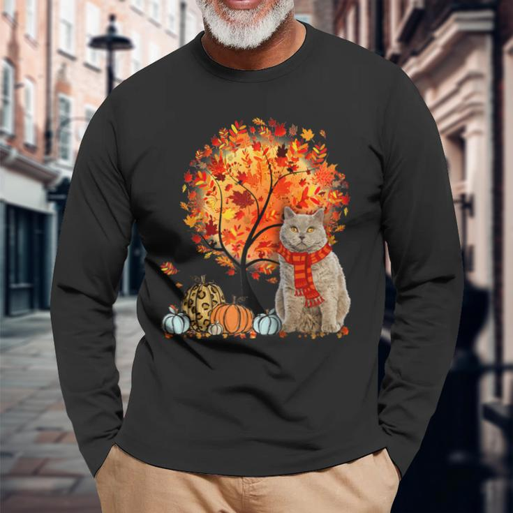 Selkirk Rex Cat Thanksgiving Autumn Cat Lover Long Sleeve T-Shirt Gifts for Old Men