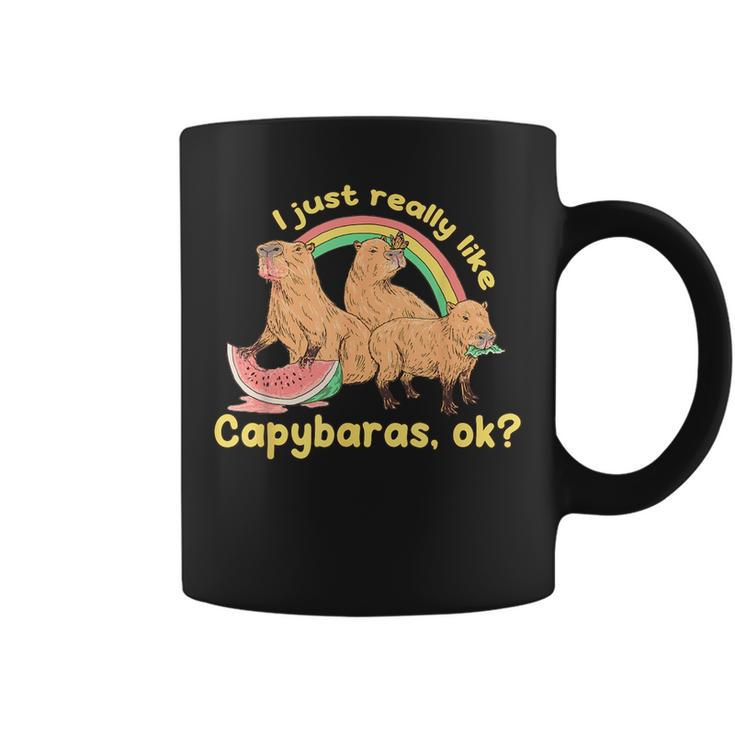 I Just Really Like Capybaras Ok Capybara Lover Funny  Coffee Mug