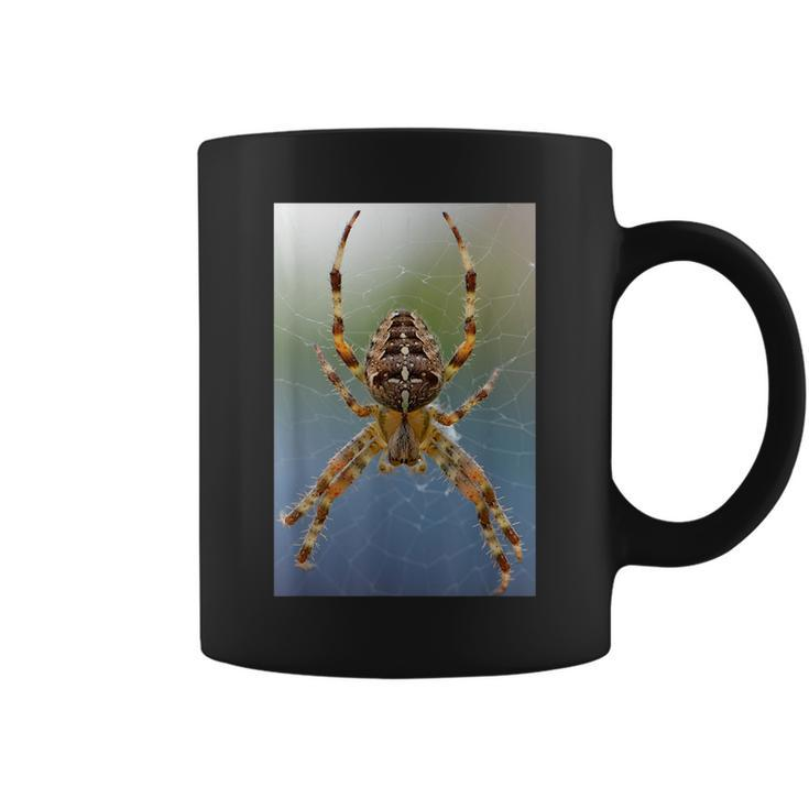 Long-Legged Spider In Webbing Scary Insect Colorful  Coffee Mug