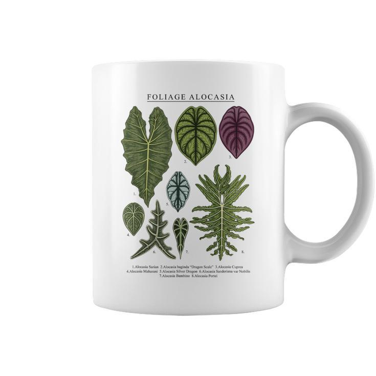 Alocasia Foliage Plants Aroid Lover Anthurium Coffee Mug