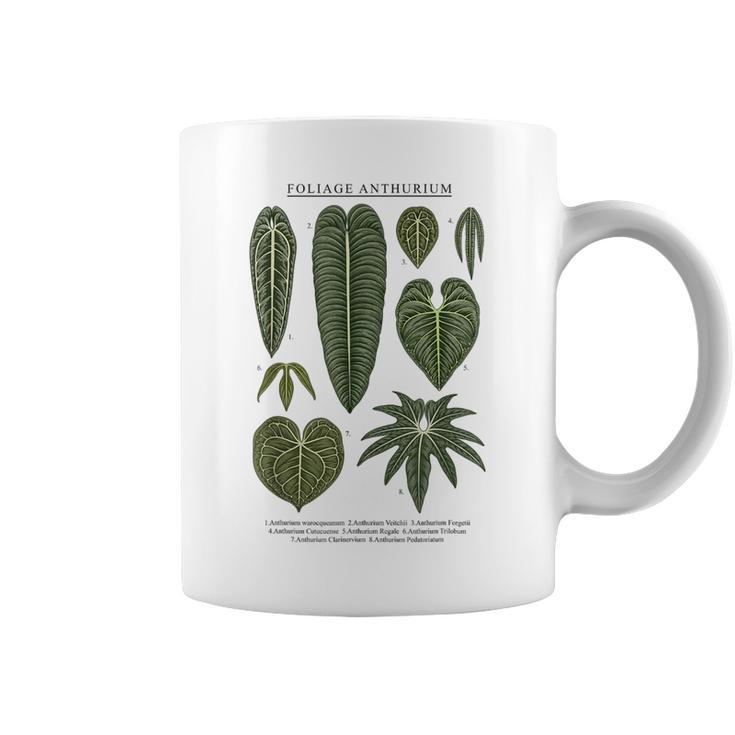 Anthurium Plants Foliage Clarinervium Veitchii Waroqueanum Coffee Mug