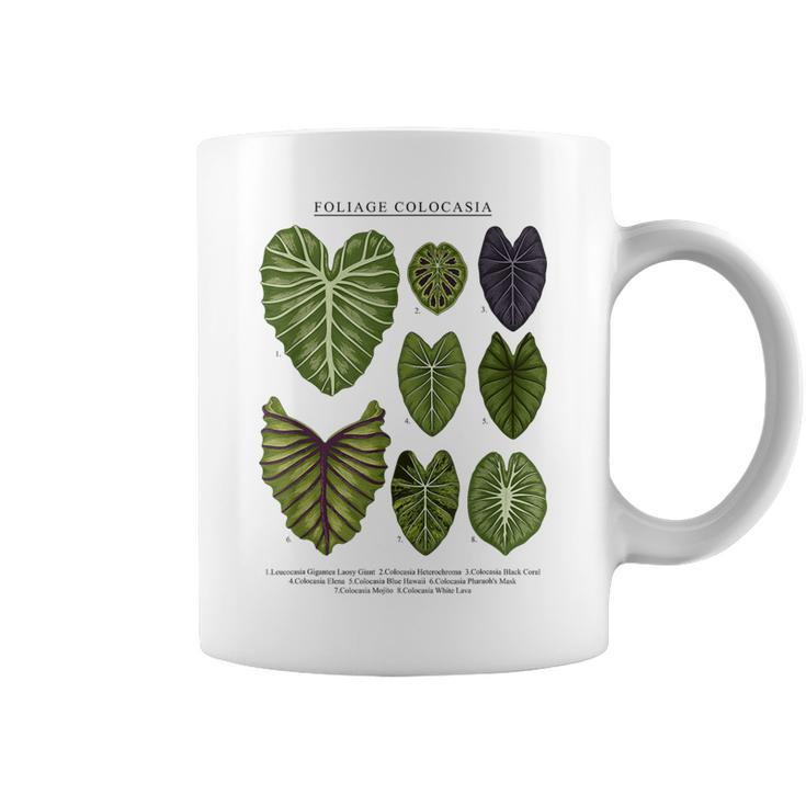 Colocasia Foliage Plants Aroid Lover Anthurium Coffee Mug