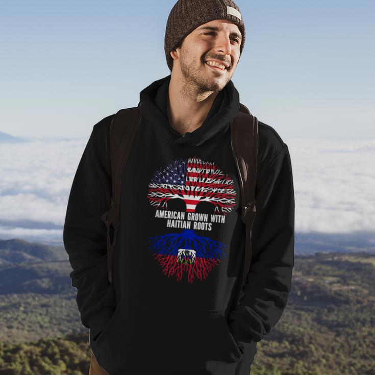 American Grown With Haitian Roots Usa Flag Hoodie Lifestyle