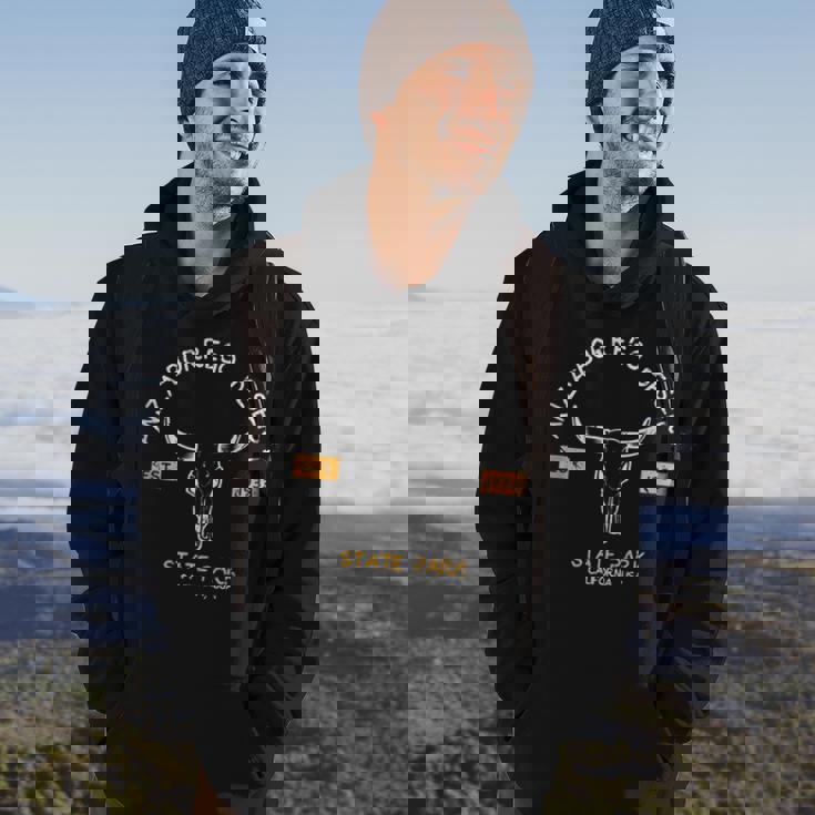 Anza-Borrego Desert State Park California Vintage Skull Ca Hoodie Lifestyle