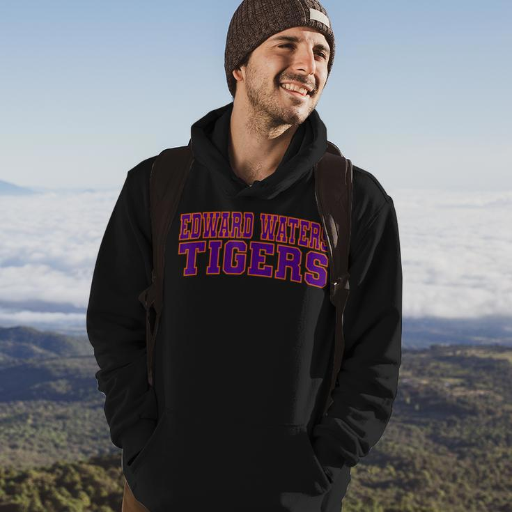 Edward Waters University Tigers Arch01 Hoodie Lifestyle