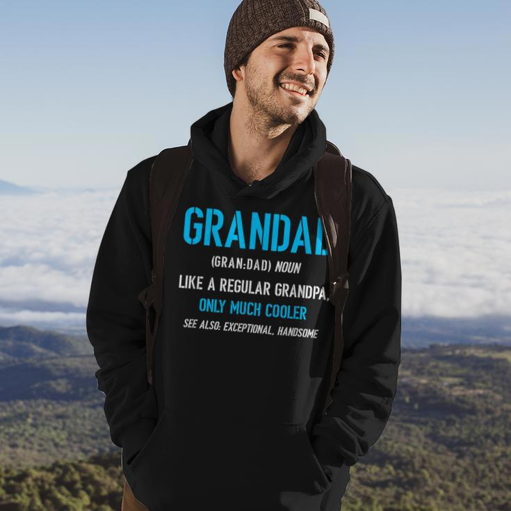 Grandad Gift Like A Regular Funny Definition Much Cooler Hoodie Lifestyle