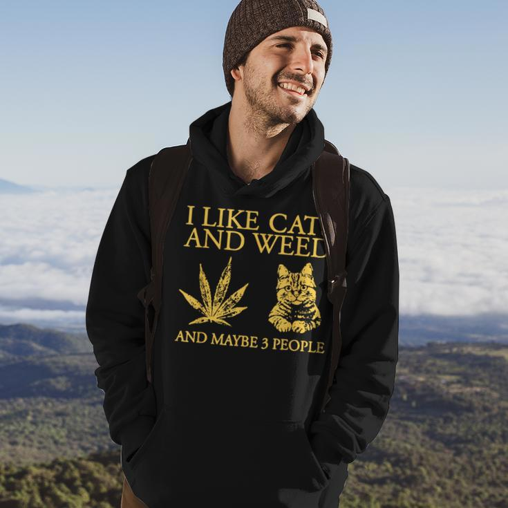 I Like Cats And Weed And Maybe 3 People Hoodie Lifestyle