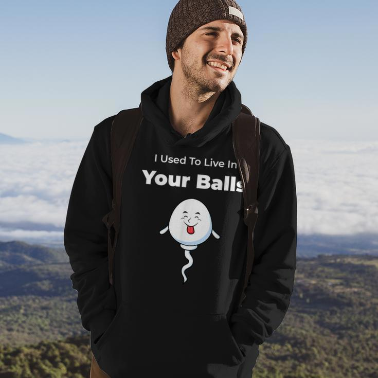 I Used To Live In Your Balls Funny Silly Fathers Day Hoodie Lifestyle