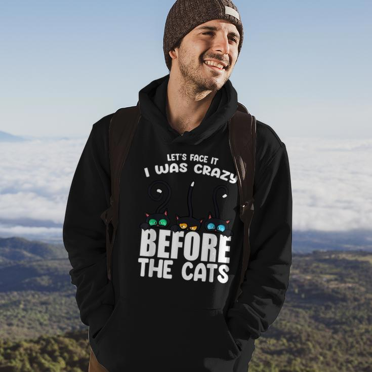 I Was Crazy Before The Cats Kitten Lover Funny Black Hoodie Lifestyle