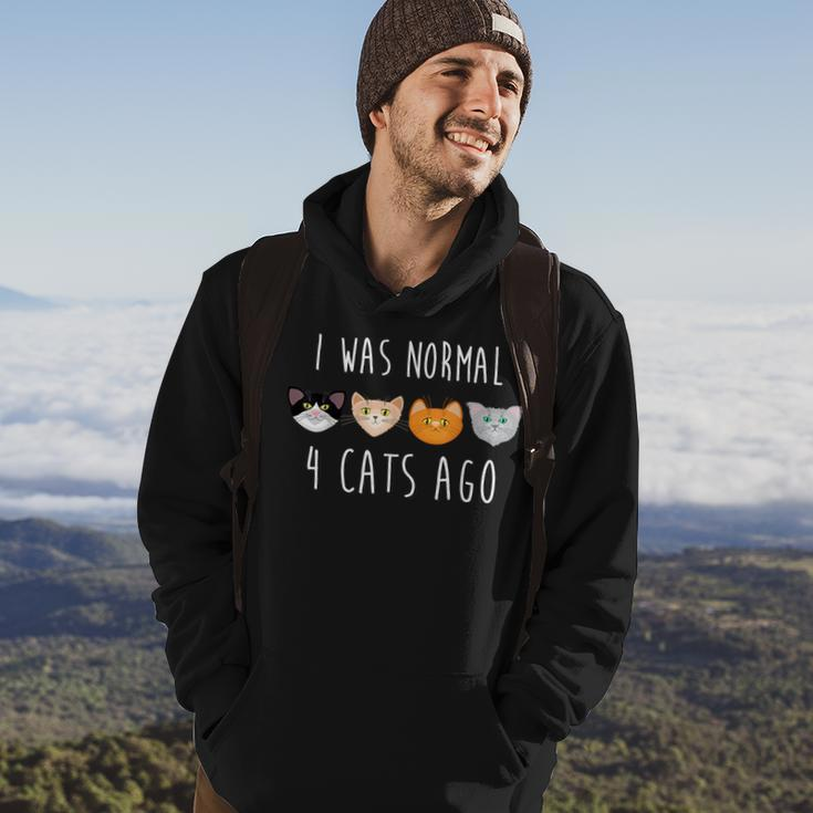 I Was Normal 4 Cats Ago Funny Cat Hoodie Lifestyle