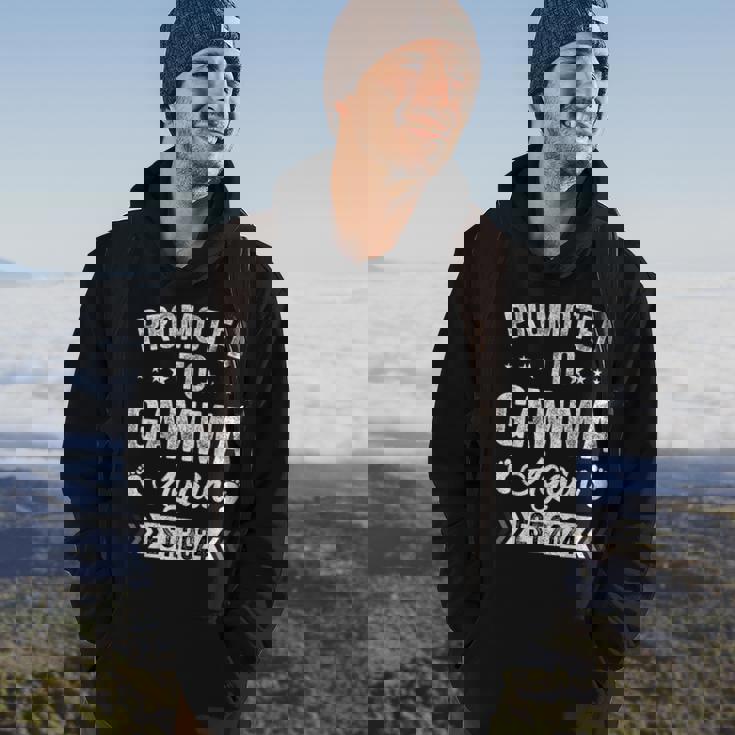 Promoted To Gamma Again Est 2024 Announcement Hoodie Lifestyle