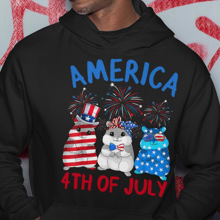 America 4Th Of July Guinea Pig Fireworks Independence Day Hoodie Unique Gifts