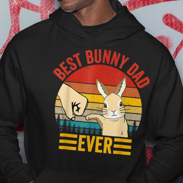 Best Bunny Dad Ever Vintage Rabbit Lover Father Day Gift For Mens Hoodie Unique Gifts