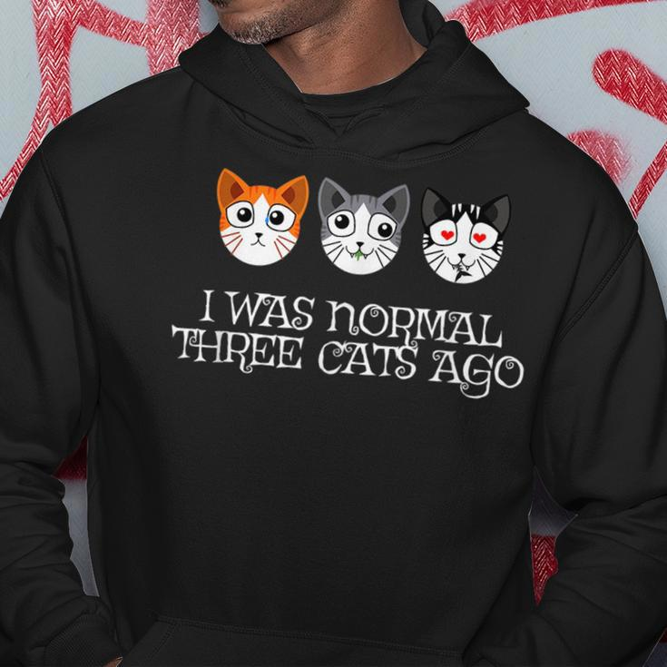 Crazy Cat Lady - Funny I Was Normal Three Cats Ago Hoodie Unique Gifts