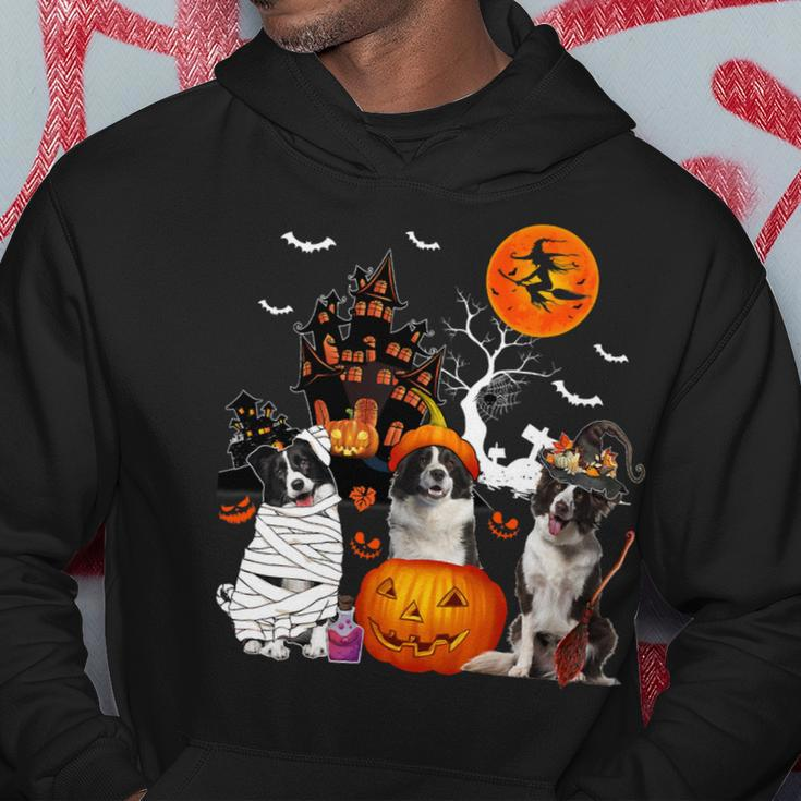 Dog Border Collie Three Border Collies Halloween Mummy Scary Witch Lover Owner Hoodie Unique Gifts