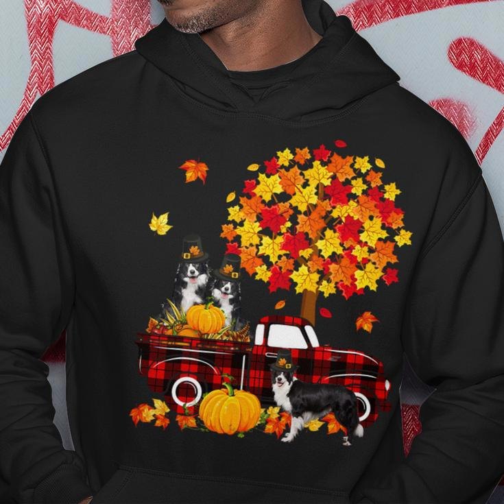 Dog Border Collie Three Border Collies On Pickup Truck Thanksgiving Fall Tree Hoodie Unique Gifts