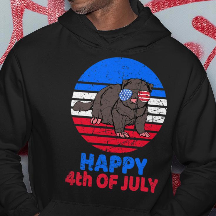 Ferret 4Th Of July For Ferret Lover Retro July 4Th Hoodie Unique Gifts