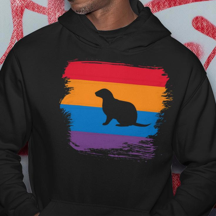 Ferret Shadow Silhouette With Colorful Flag Hoodie Unique Gifts