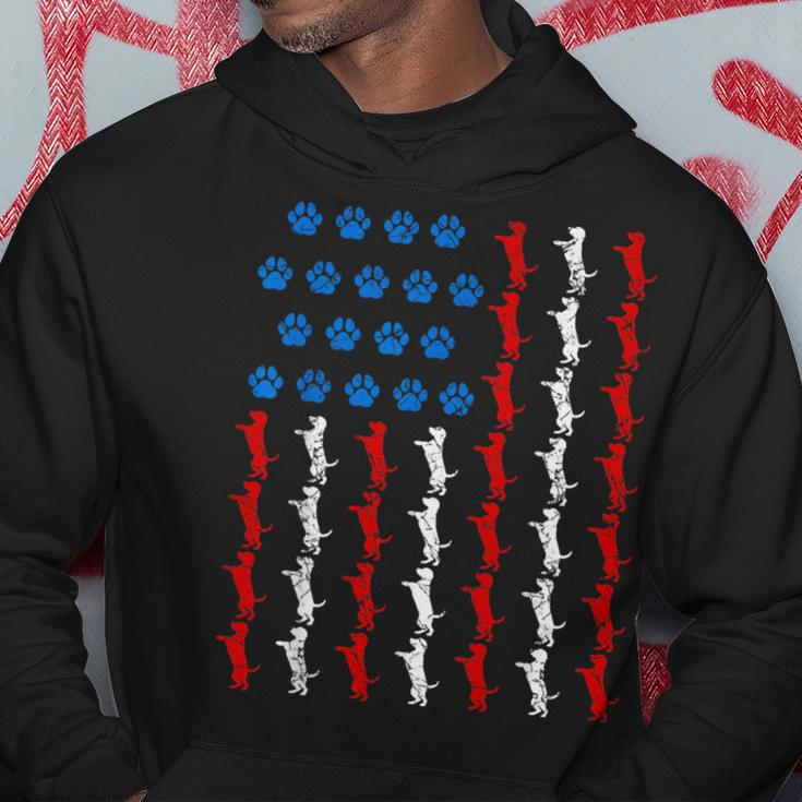 Funny 4Th Of July Us American Flag Dog Lovers Paw Patriotic Patriotic Funny Gifts Hoodie Unique Gifts