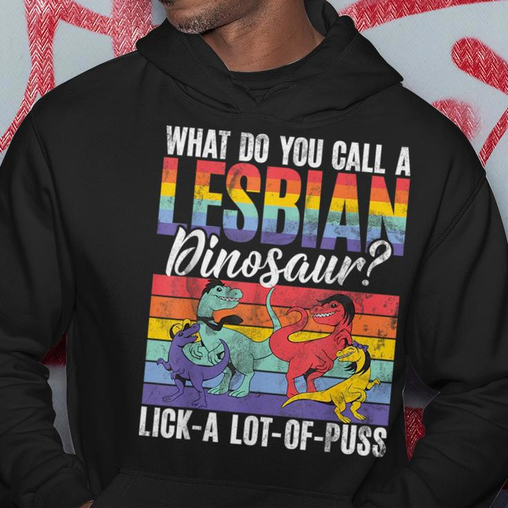 Funny Lesbian Dinosaur Joke Lesbian Hoodie Unique Gifts