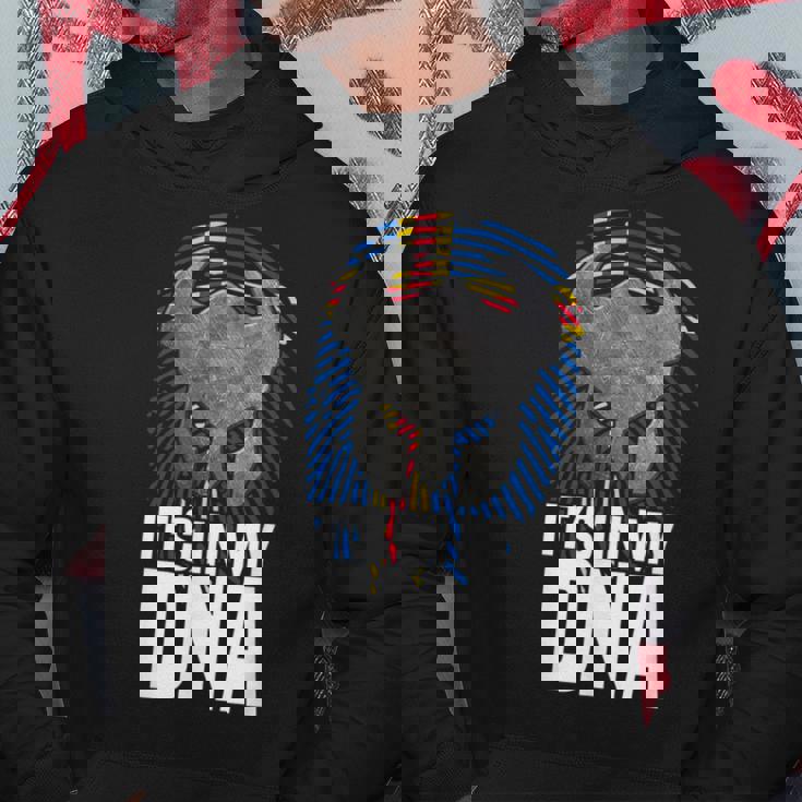 Its In My Dna Viking Nordic Aland Islands Pride Flag Hoodie Unique Gifts