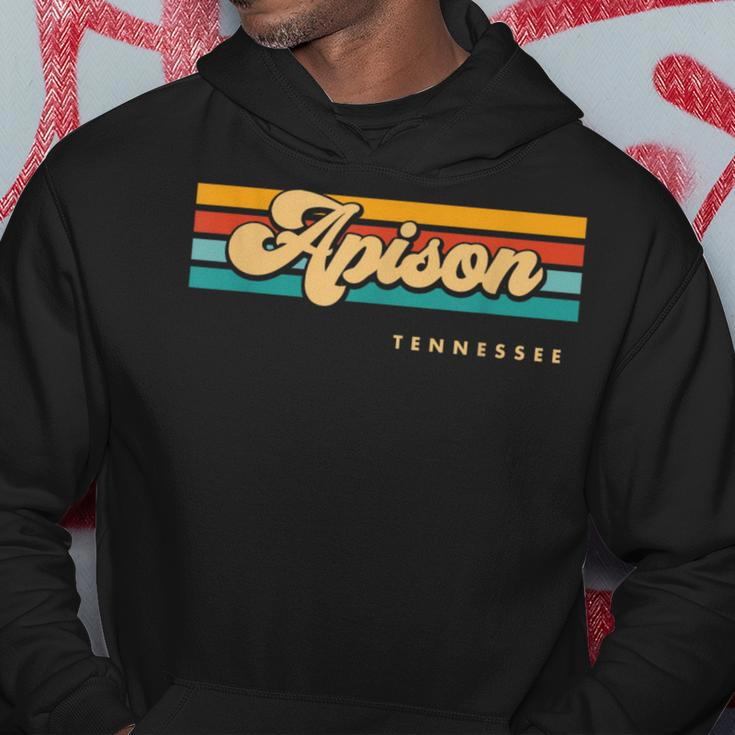Vintage Sunset Stripes Apison Tennessee Hoodie Unique Gifts