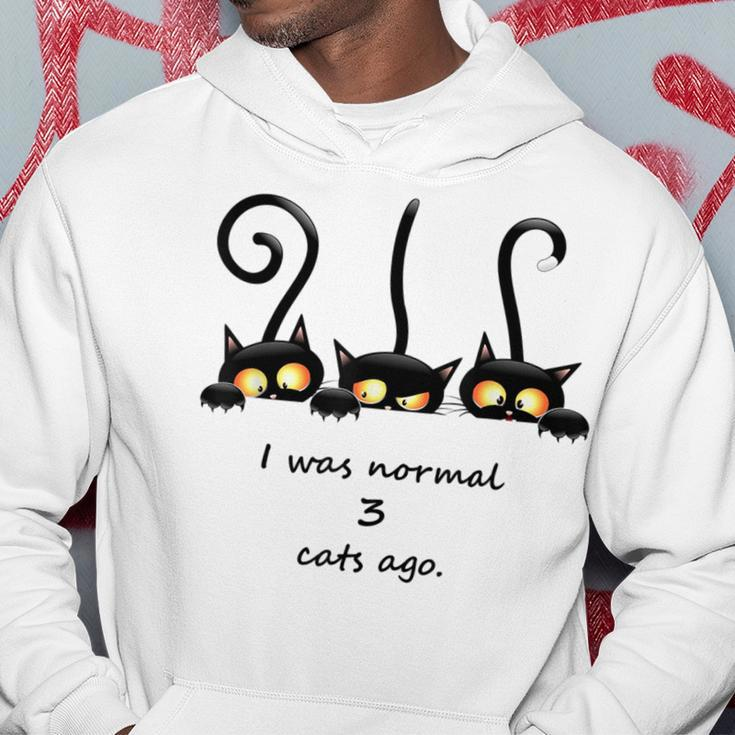 I Was Normal 3 Cats Ago Black Cats Hoodie Unique Gifts