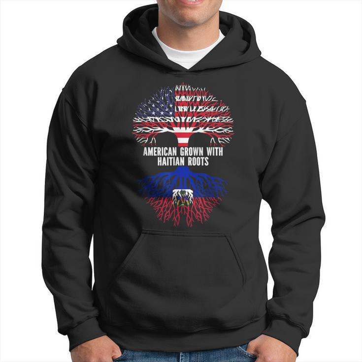 American Grown With Haitian Roots Usa Flag  Hoodie