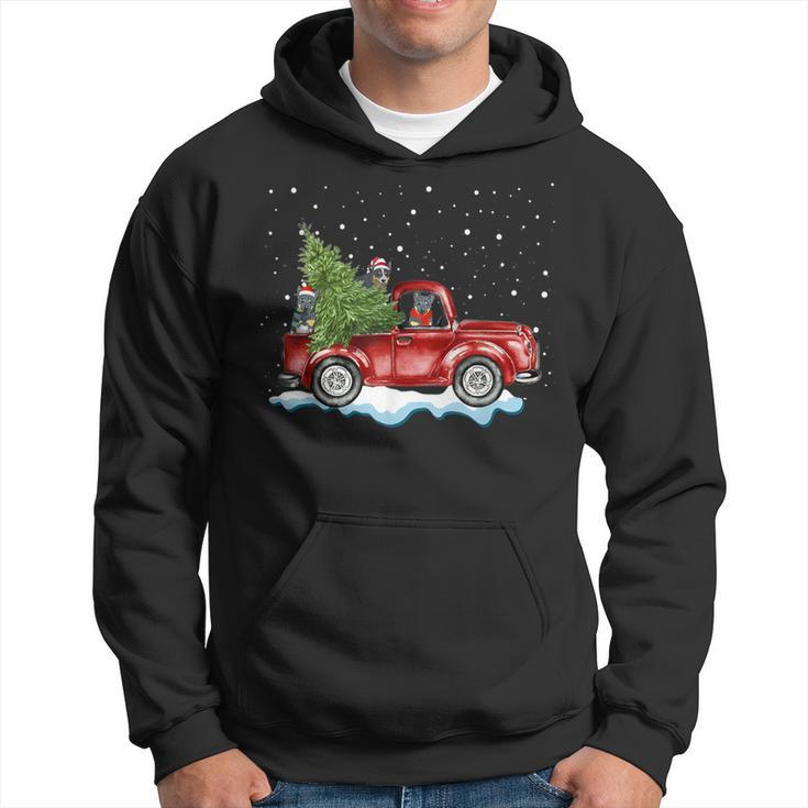 Australian Cattle Dogs Ride Red Truck Christmas Hoodie