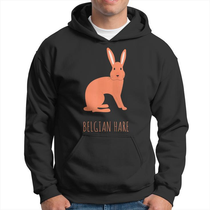 Belgian Hare Rabbit Stone Rabbits Bun Bunny Hoodie