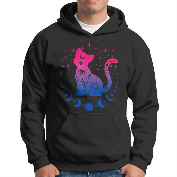 Bisexual Pride Flag Colors Astronomy Cat  Hoodie