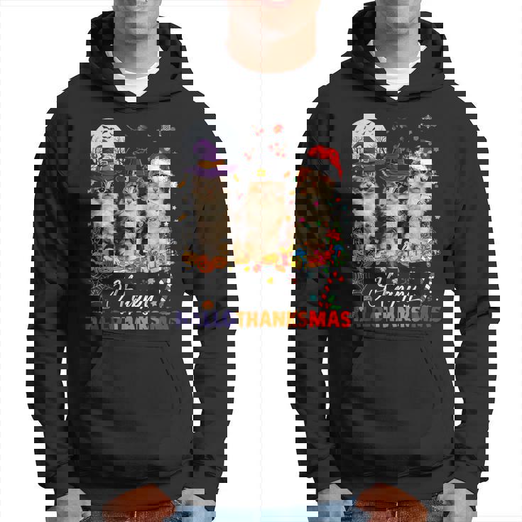 Cat Halloween Christmas Happy Hallothanksmas Thanksgiving Hoodie