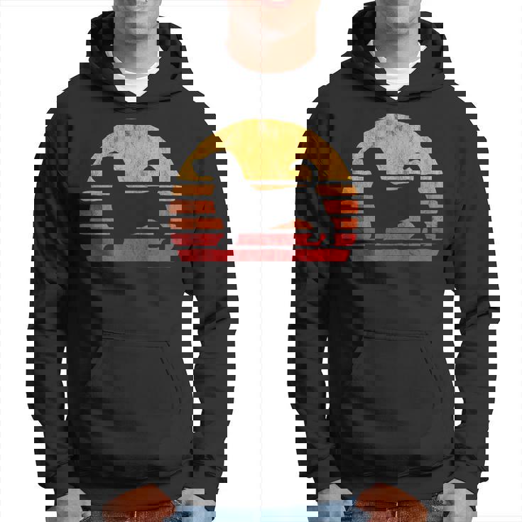 Cool & Retro Bassett Hound Vintage Dog Breed s Hoodie