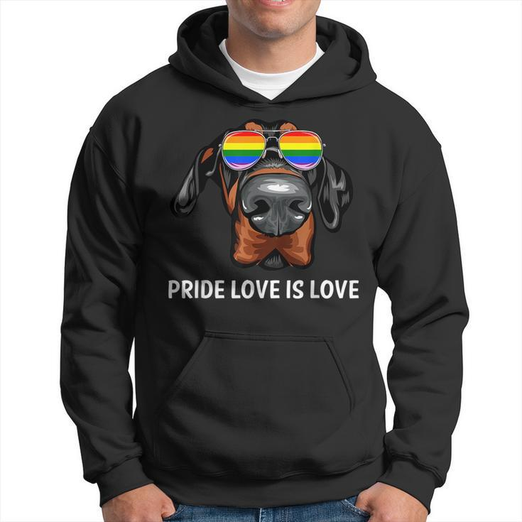 Cute Lgbt Pride Love Is Love Doberman Dog Puppy  Hoodie