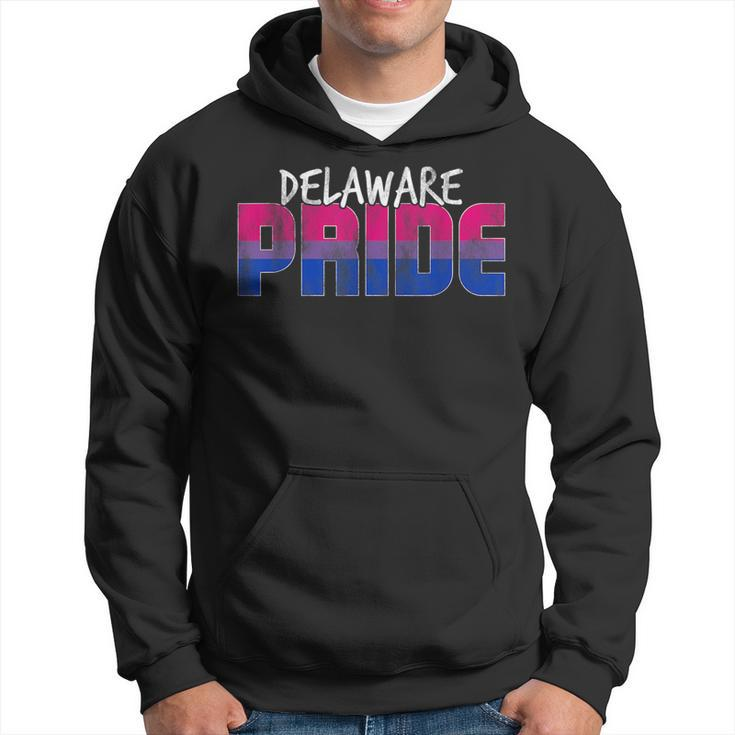 Delaware Pride Bisexual Flag  Hoodie