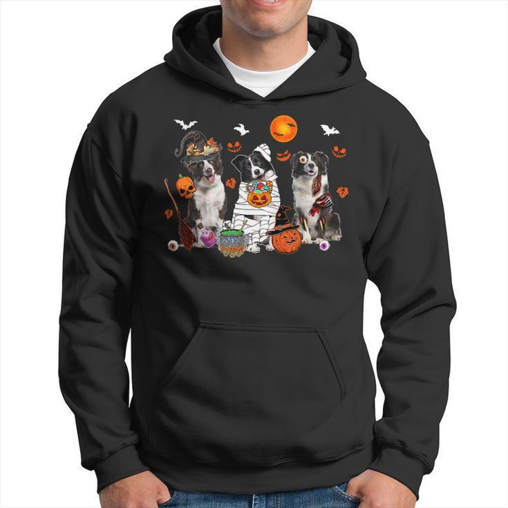 Dog Border Collie Three Border Collie Dogs Witch Scary Mummy Halloween Zombie Hoodie