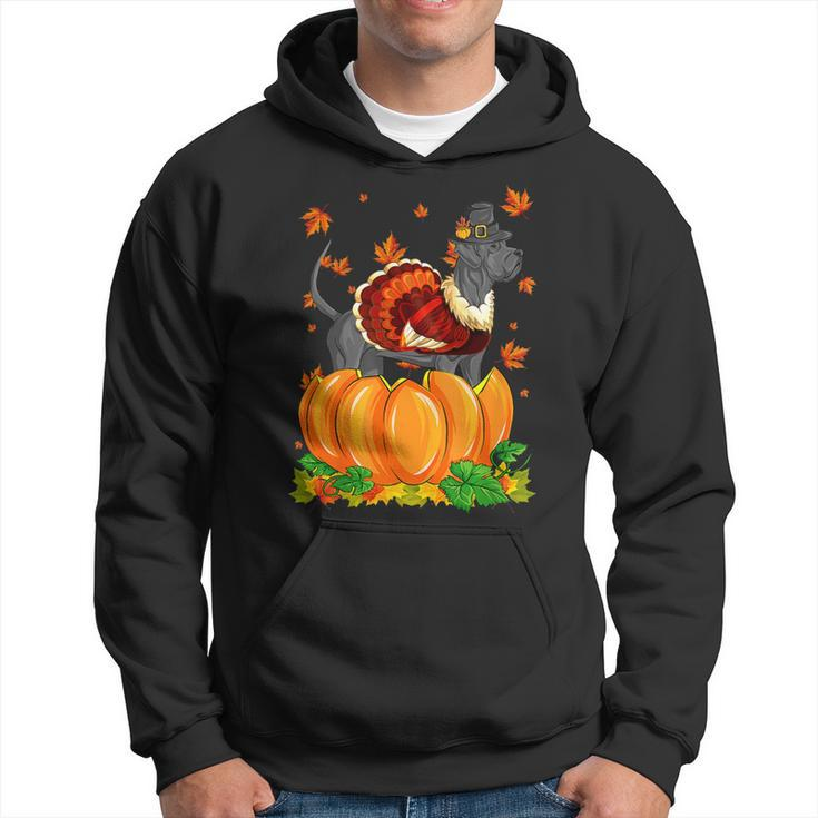 Dog Great Dane Thanksgiving Turkey Fall Autumn Pumpkin Hoodie