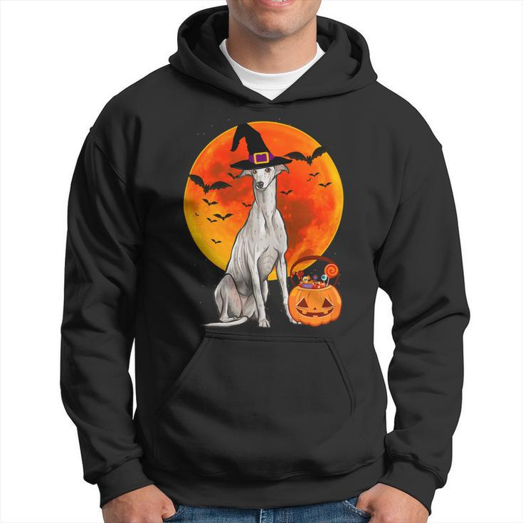 Dog Halloween Greyhound Jack O Lantern Pumpkin Hoodie