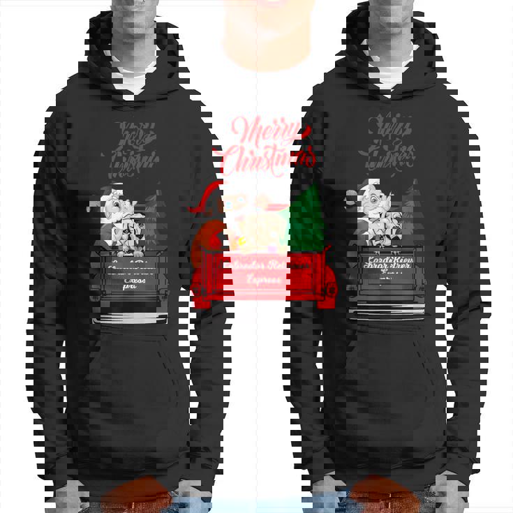 Dog Labrador Retriever With Santa Claus In Red Truck Hoodie