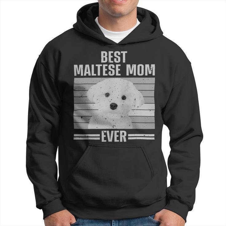 Dog Maltese Cool Maltese Mom For Women Girls Dog Groomer Dog Lover Owner 3 Hoodie