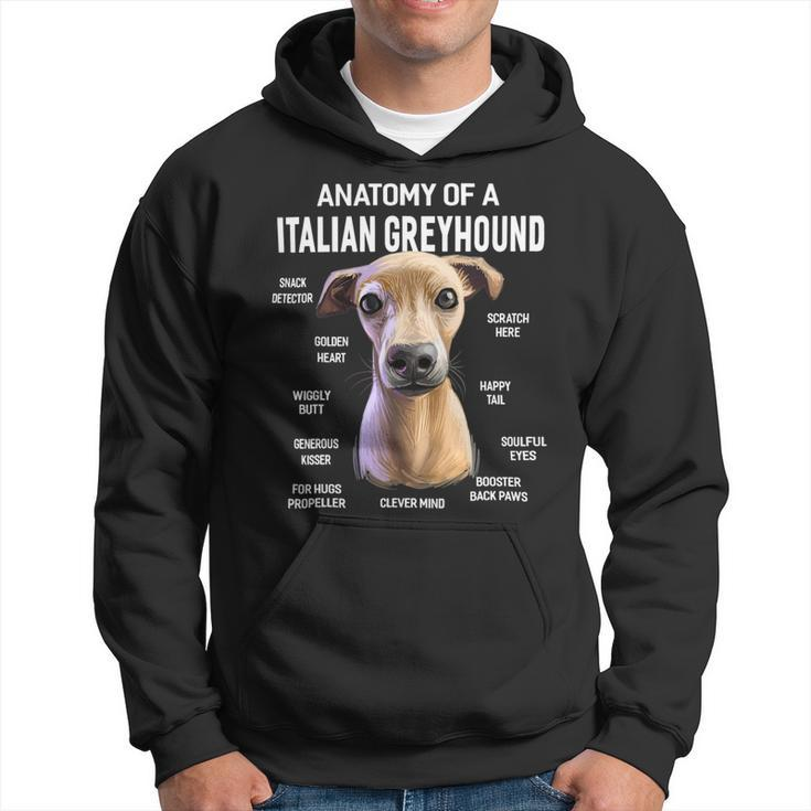Dogs Anatomy Of A Italian Greyhound Dog Funny Gift Hoodie