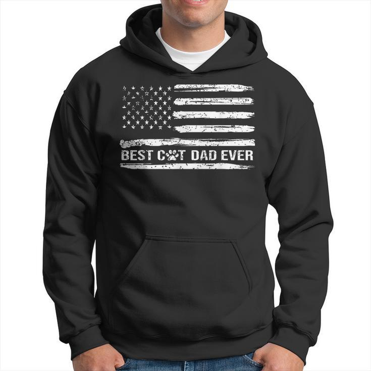 Fathers Day Best Cat Dad Ever With Us American Flag Hoodie